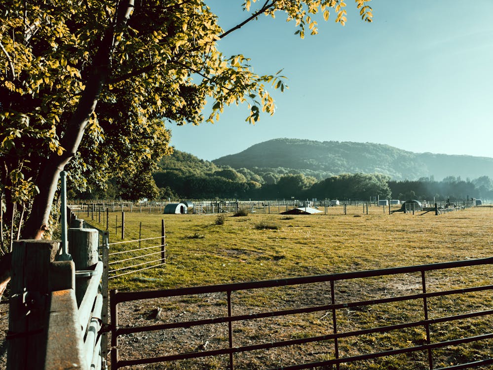 How to Sell Inherited Land Fast in Florida?